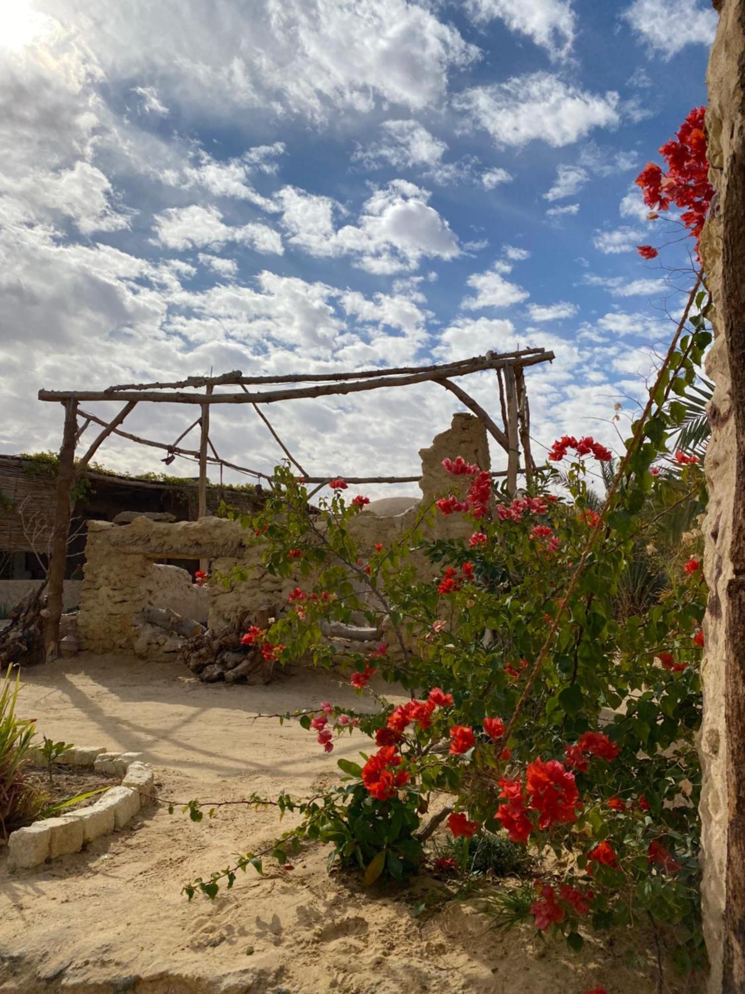 Вілла Grand Siwa Siwa Oasis Екстер'єр фото